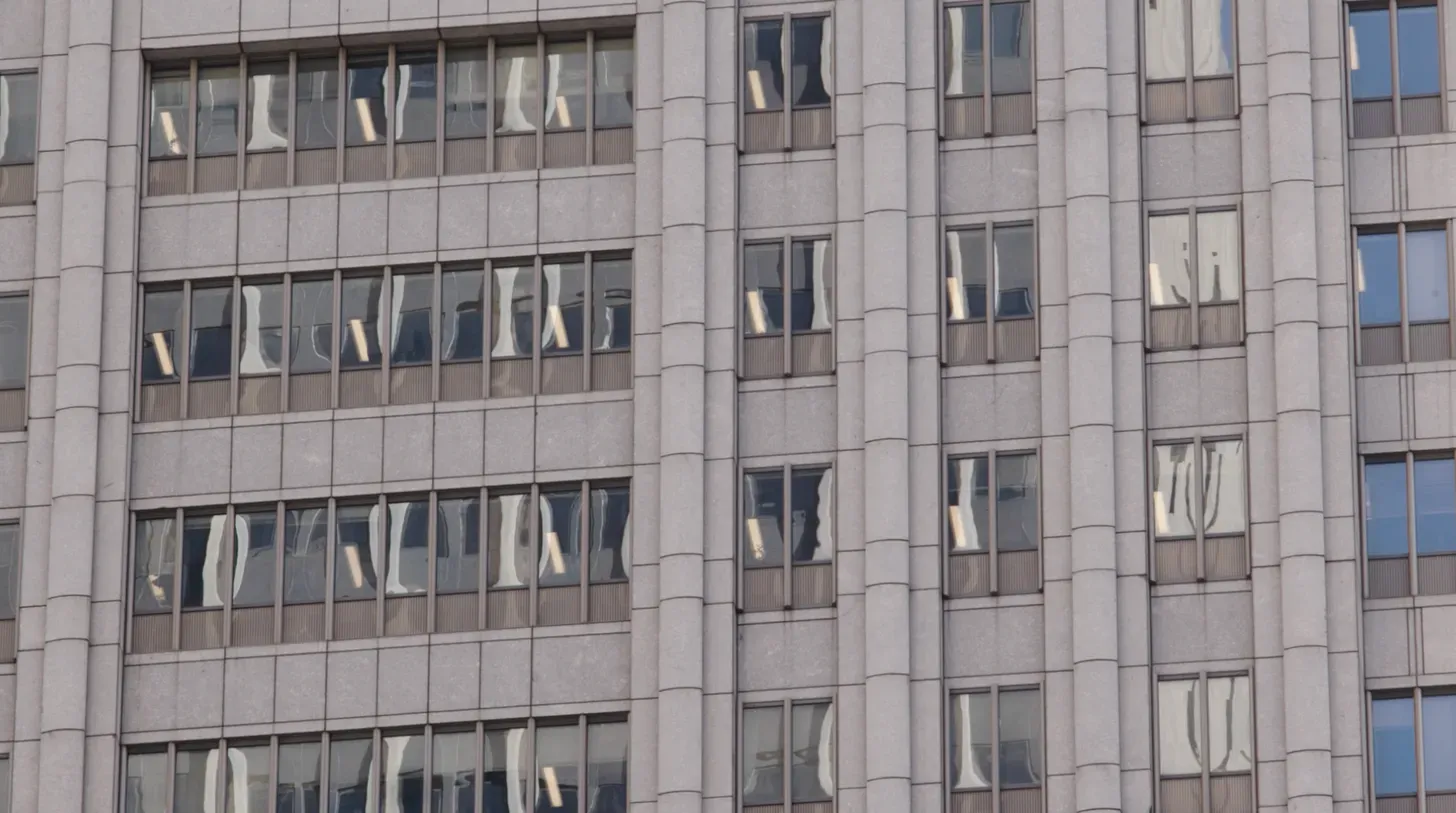 Some things we saw this summer