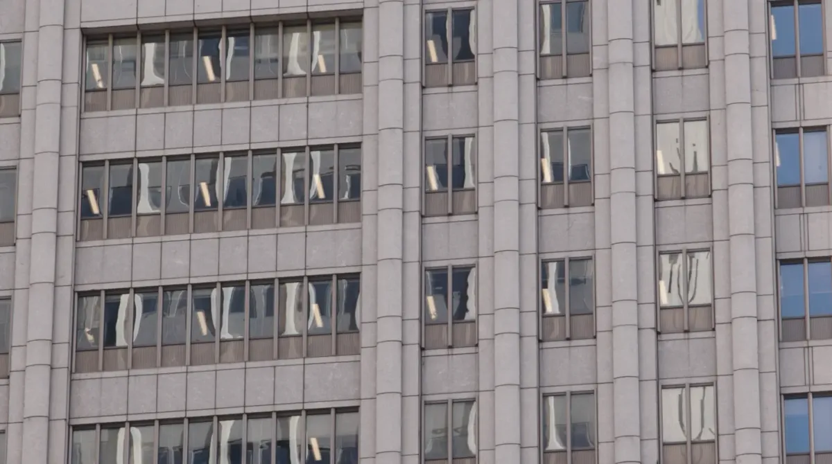 Some things we saw this summer